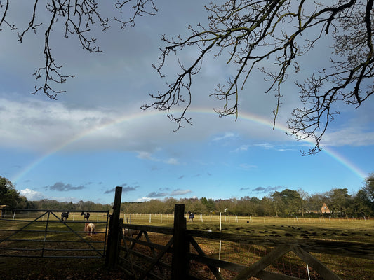 SACRED SOUND OF RAIN- Bamboo Rainstick Workshop