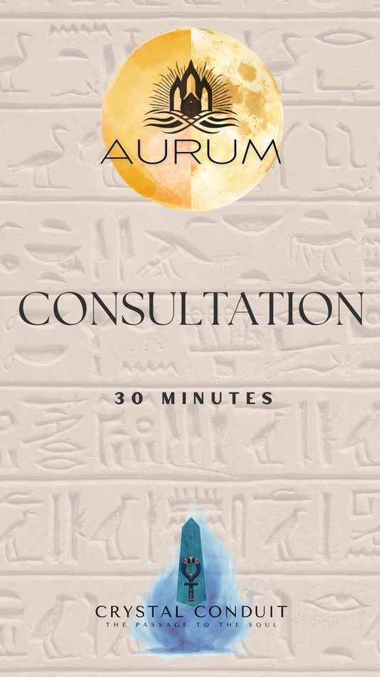 CONSULTATION - 30 Minutes