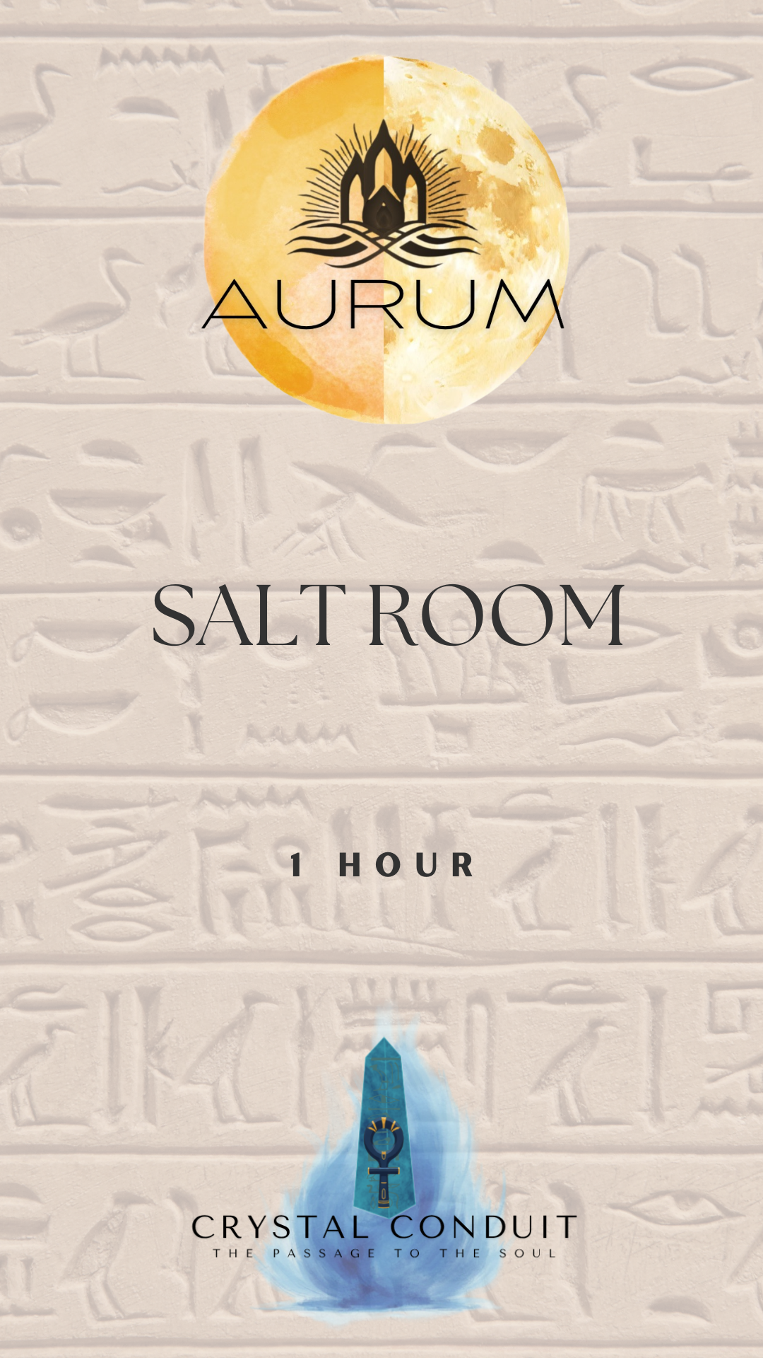 SALT ROOM 1 HOUR SLOT - By Donation
