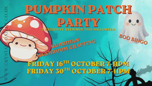 ADULT- The Pumpkin Patch Party 2026!
