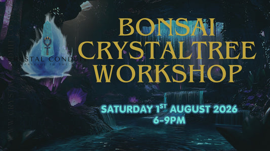 BONSAI CRYSTAL TREE WORKSHOP & CURRY - Sleaford 1st August 2026
